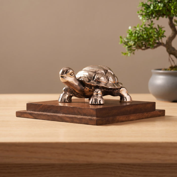 999 Silver Tortoise Idol