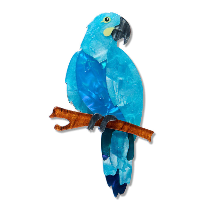 Glaucous Macaw Brooch - Erstwilder The Rarest Kind (2026)
