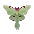 Over The Moon Lunar Moth Brooch - Erstwilder Insects and Bugs (2020)